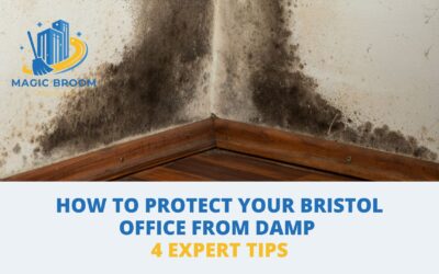 How to Protect Your Bristol Office From Damp – 4 Expert Tips