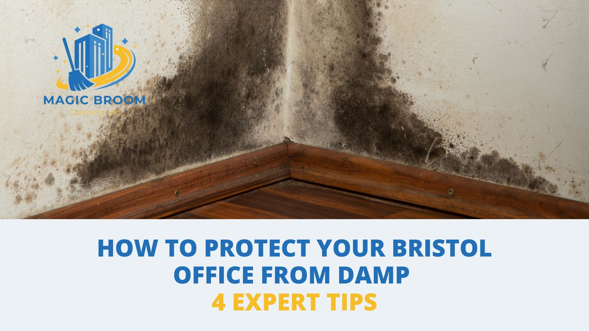 How to protect your Bristol office from damp